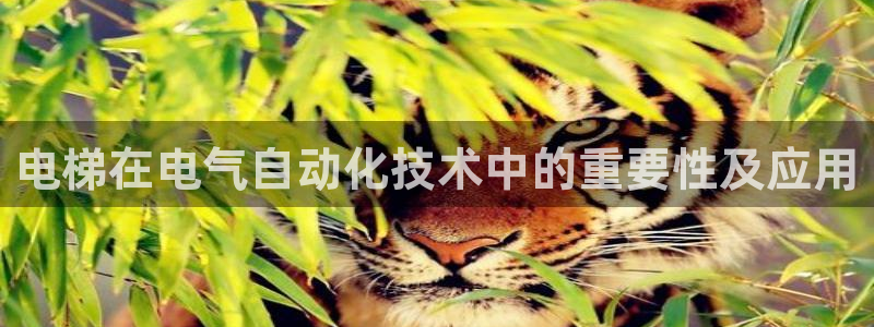 凯发旗舰厅官网