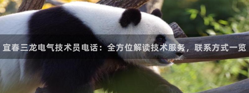 凯发手机官网客户端