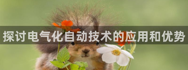 凯发国际平台官网