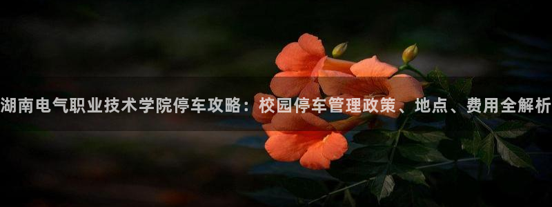 凯发网址多少