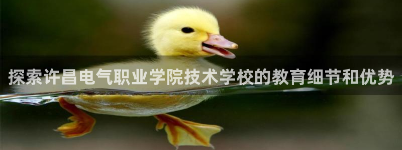 凯发娱乐唯一官网