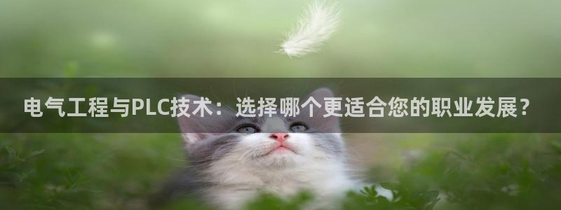 凯发平台风采