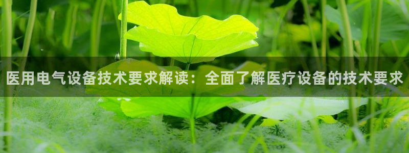 凯发手机官网客户端