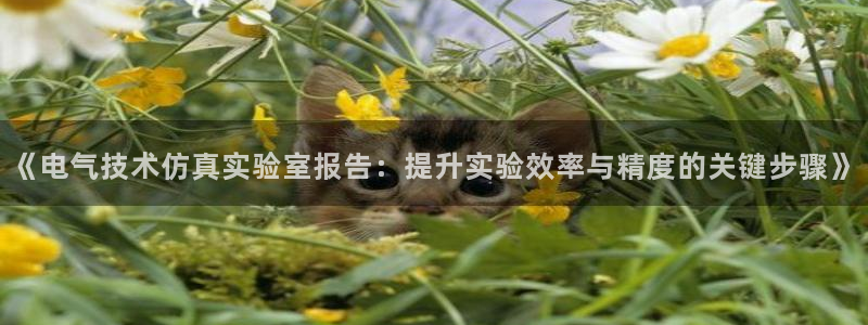 凯发线上客户端免费下载