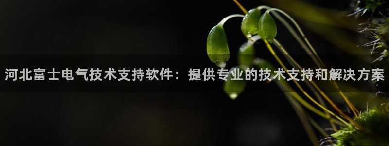 凯发k8娱乐是哪个国家的