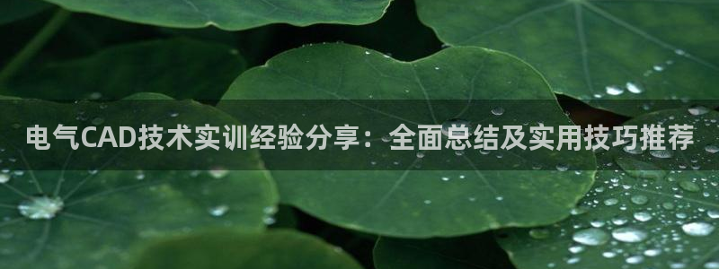凯发唯一官方网站