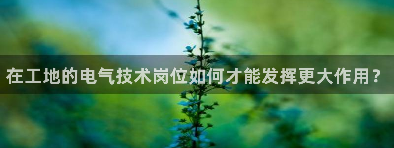 凯发旗舰厅官网