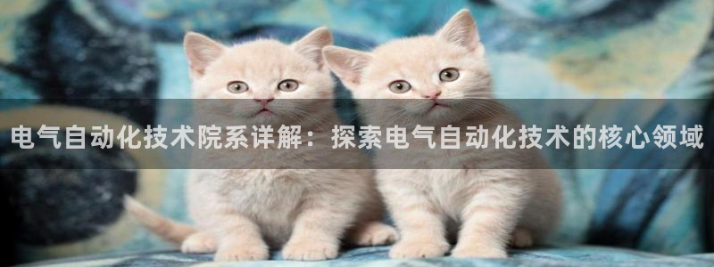 凯发k8全球公开加盟