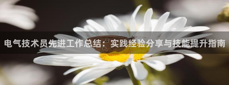 凯发平台k8