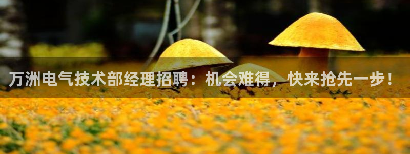 凯发k8ag旗舰厅网址