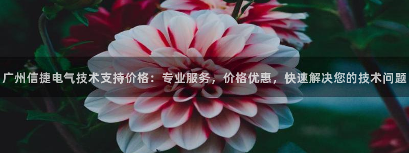 凯发是正规平台吗