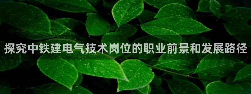 凯发手机官网客户端