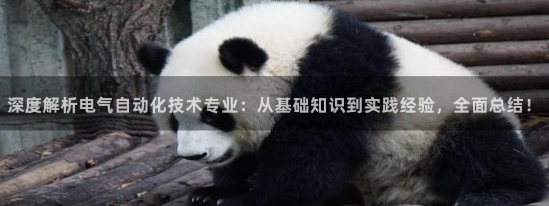 凯发就来凯发天生赢家一触即发