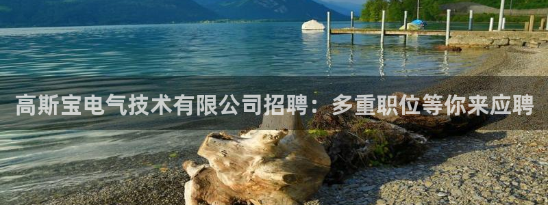 凯发国际娱乐官网k8