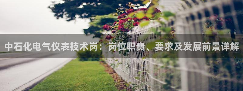 凯发网址多少