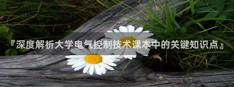 凯发网网站