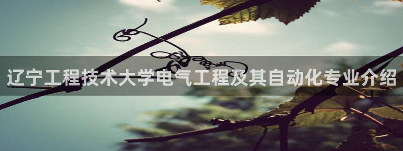 凯发网站是多少