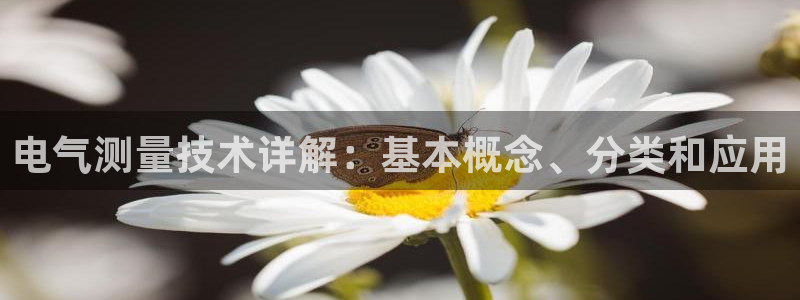 凯发网网站