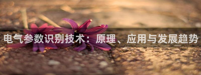 凯发k8全球公开加盟