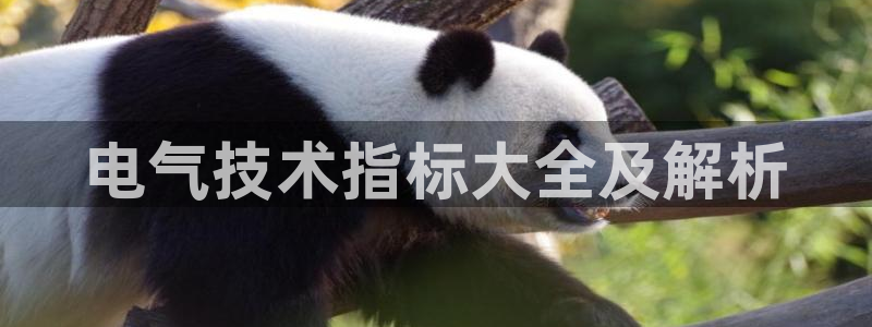 凯发k8娱乐平台网址