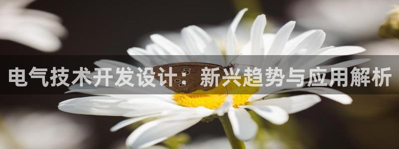 凯发娱乐k8下载