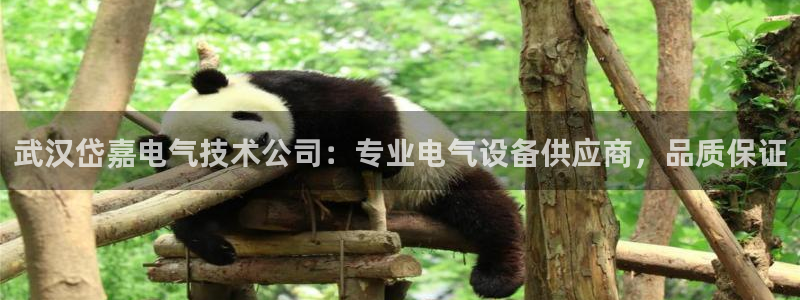 凯发k8娱乐旗舰app下载