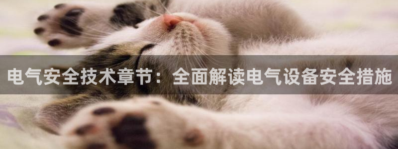 凯发娱乐官网登录