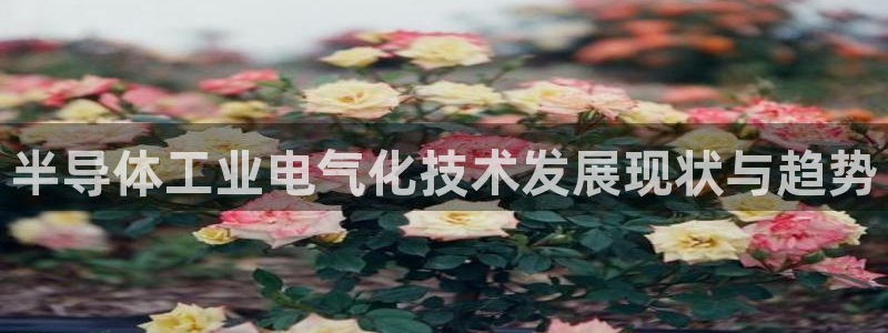 凯发国际平台