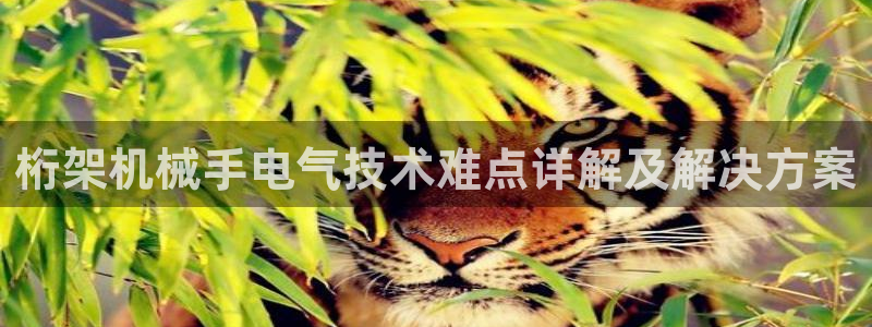 k8凯发是做什么的