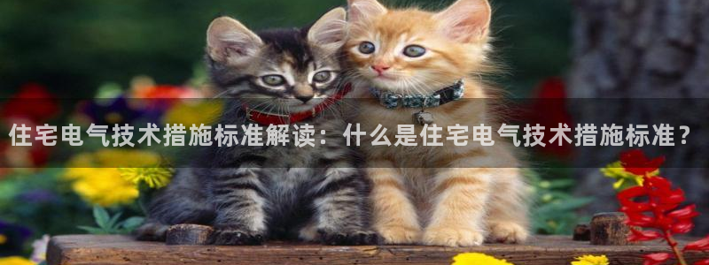 凯发线上app苹果版下载