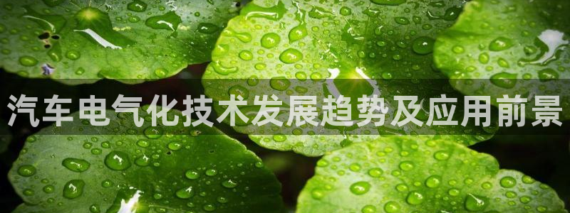 凯发k8国际|首页w来就送38元