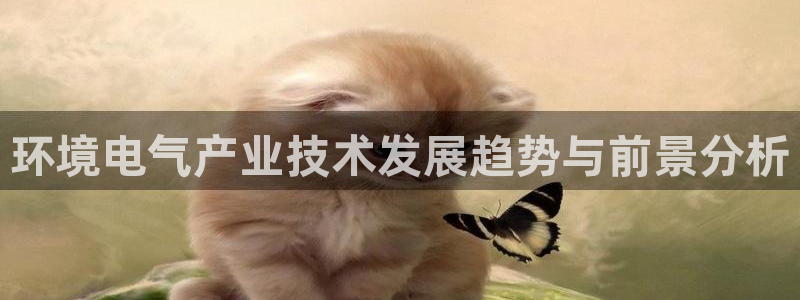 l凯发国际官网