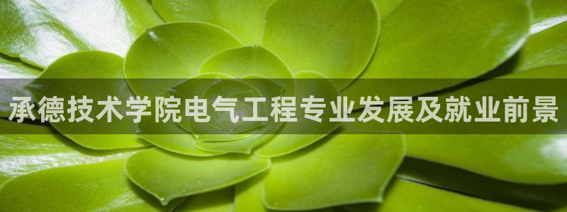 凯发国际app下载