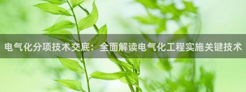 凯发国际亚洲有限公司