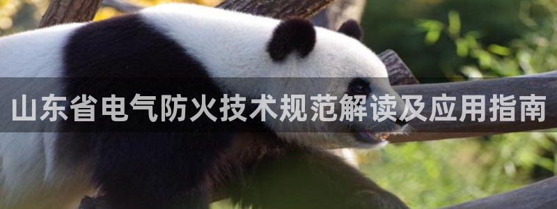 凯发k8国际不能提款了吗