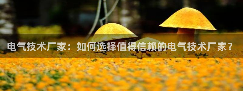 凯发k8娱乐真人旗舰厅客服