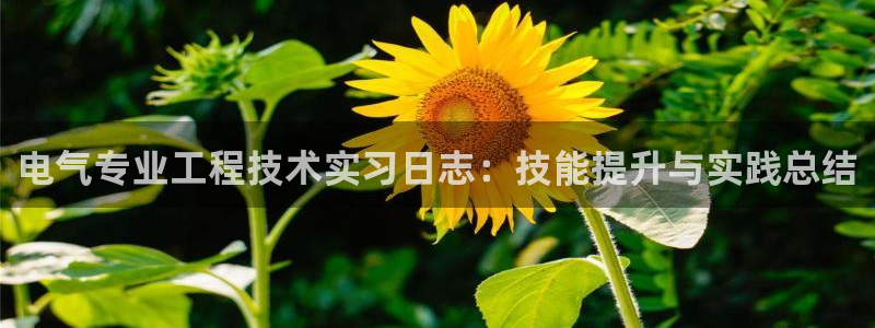 凯发注册手机版官网