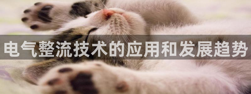凯发旗舰厅官网