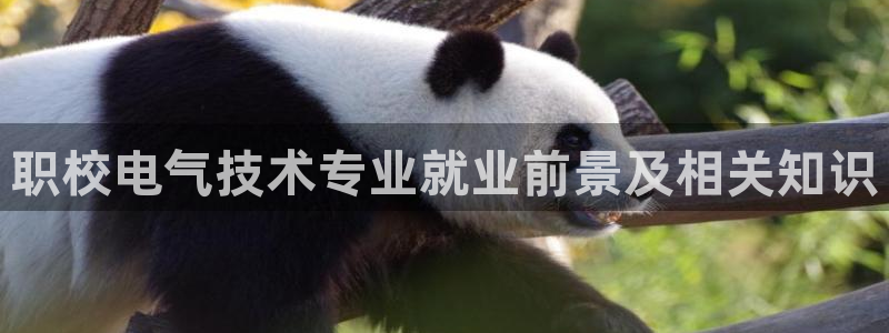 凯发k8是不是真的可靠