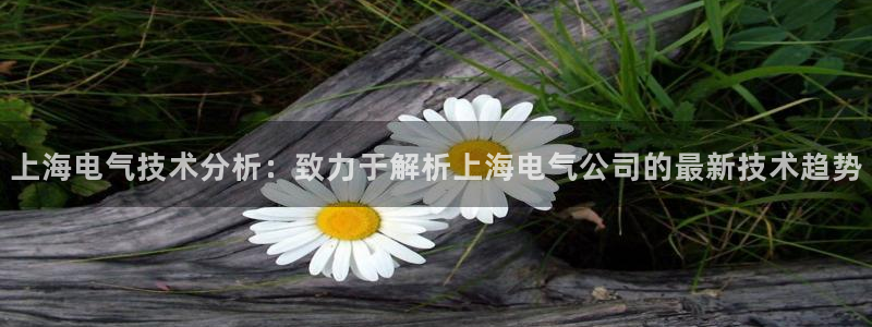凯发娱乐官方网站
