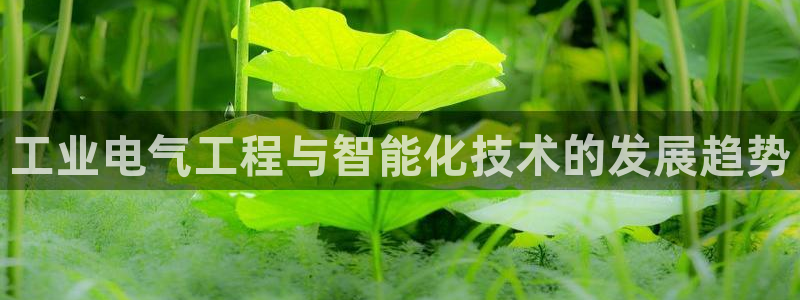凯发k8娱乐现在还有吗