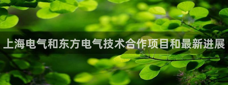 凯发k8是不是真的可靠