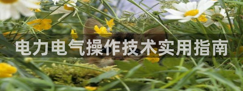 凯发app地址