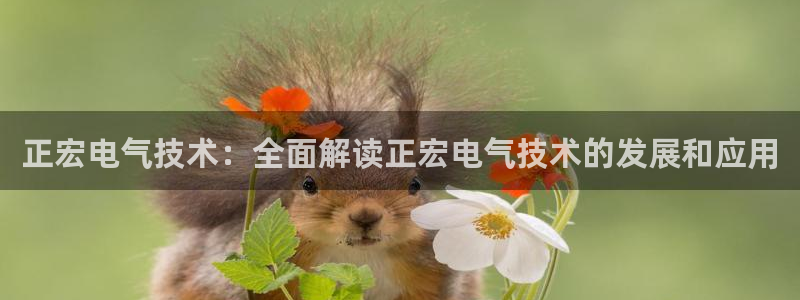 k8凯发官方找就送38
