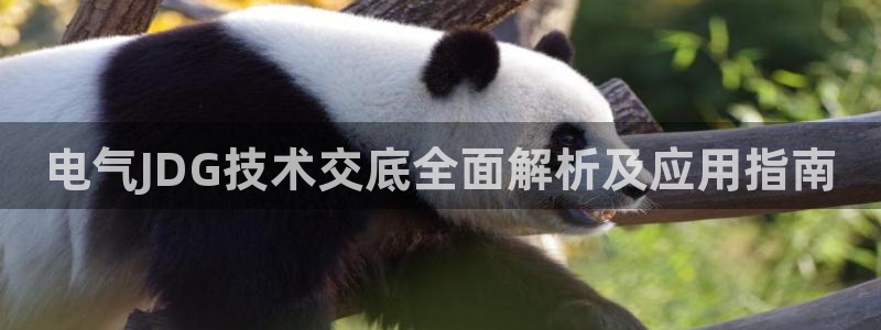 凯发app是干嘛的