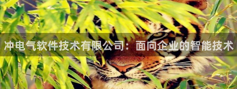 凯发k8娱乐
