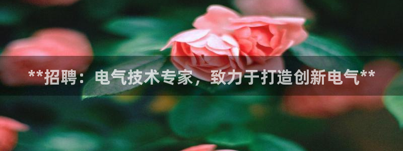 凯发k8娱乐旗舰app下载