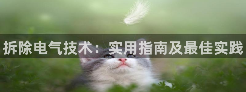 凯发app可信吗