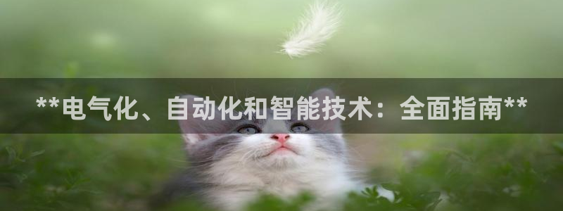 凯发k8国际|首页w来就送38元