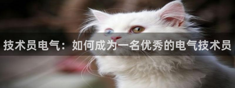 凯发旗舰网站